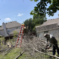 How Tree Care Services in Garland, Texas Reduce Structural Risks Around Homes