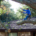 Tree Care Services in Garland, Texas: Are Free Estimates Offered?