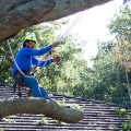 Protecting Your Investment: How A Rock Bucket Enhances Tree Care Services In Garland, Texas