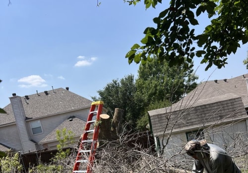 How Tree Care Services in Garland, Texas Reduce Structural Risks Around Homes