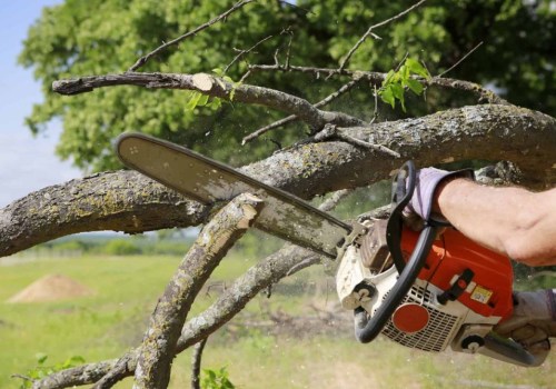 Ensuring Proper Licensing and Insurance for Tree Care Services in Garland, Texas