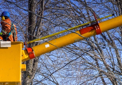 Finding Reliable Tree Care Services in Garland, Texas